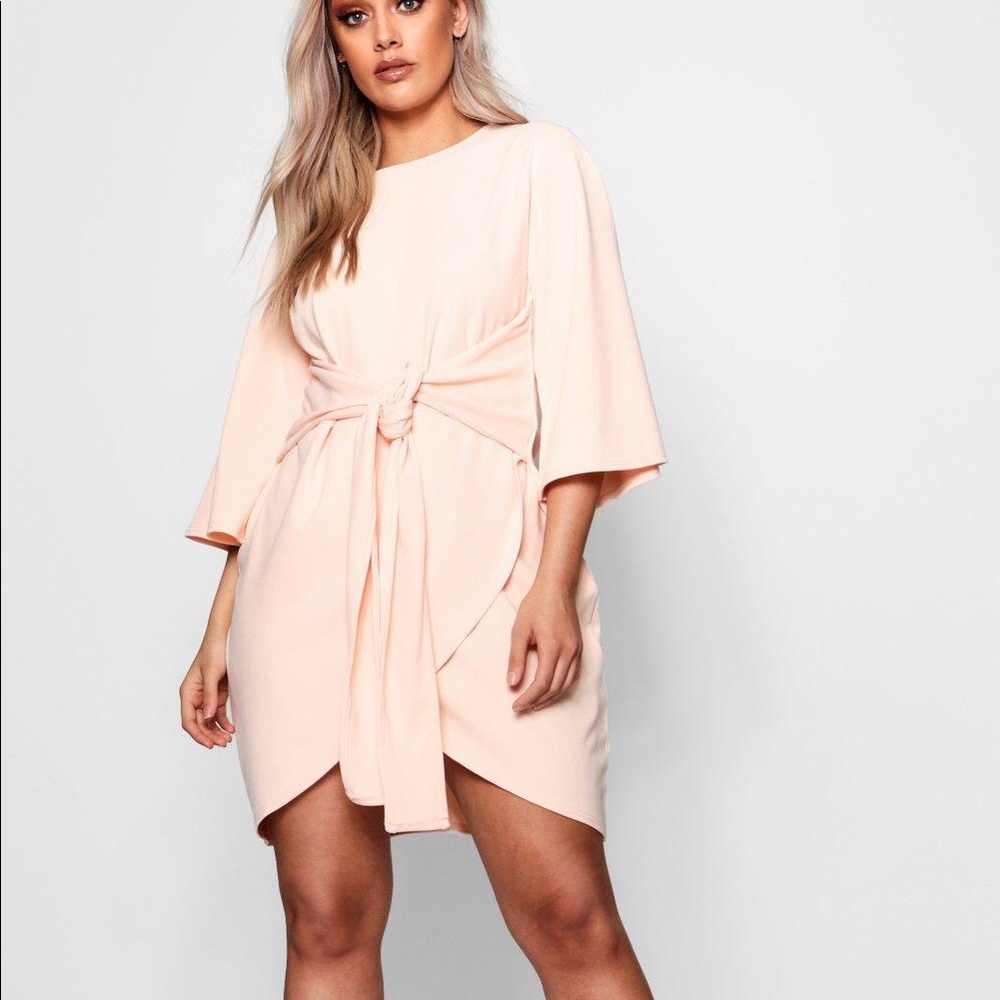 Women’s plus size dress blush
